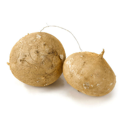 Jícama