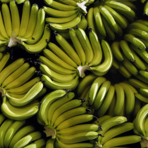 Plátano Tabasco
