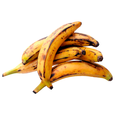 Plátano Macho