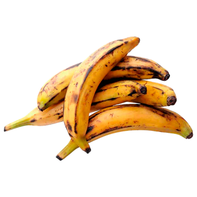 Plátano Macho