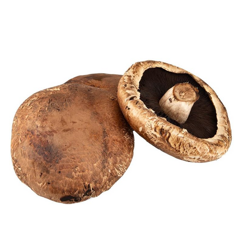 Hongo portobello