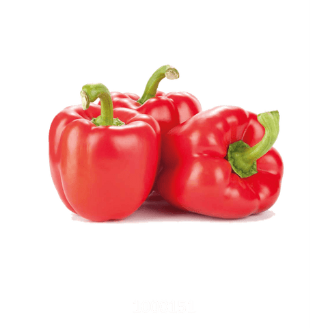 Pimiento morrón rojo
