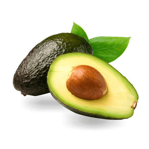 Aguacate Hass
