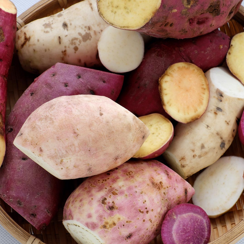 Camote