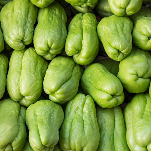 Chayote