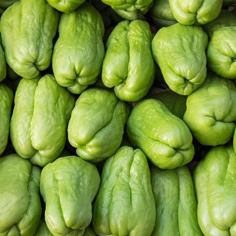 Chayote