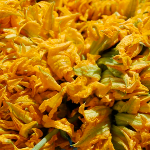 Flor de calabaza