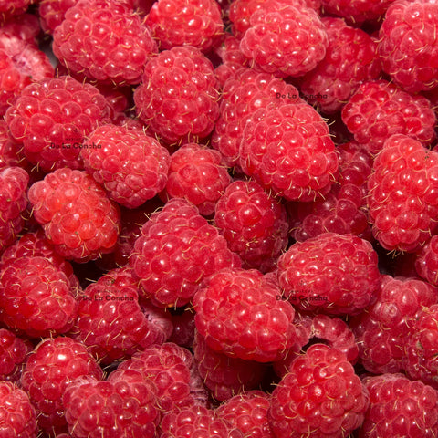 Frambuesa