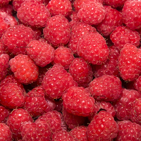 Frambuesa