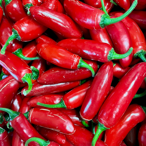 Chile jalapeño rojo
