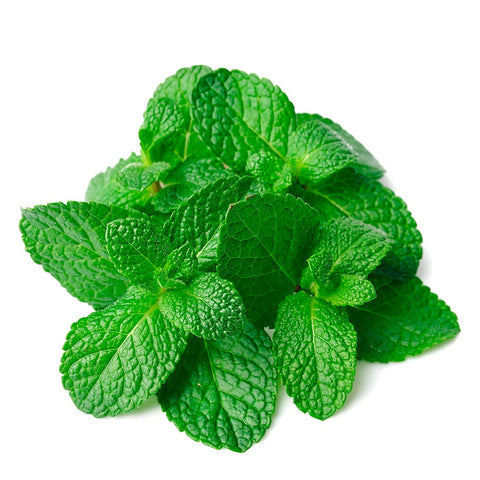 Menta Fresca