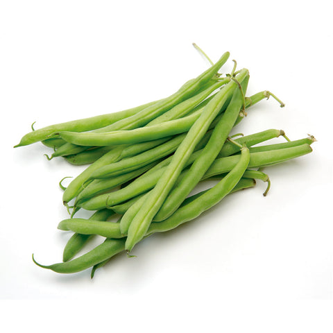 Ejote