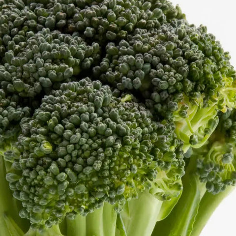 Brócoli