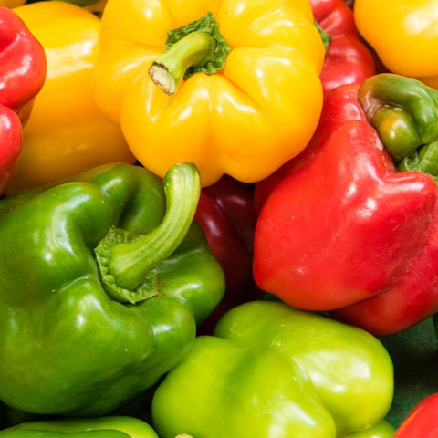 Mezcla de pimientos (Amarillo, rojo, verde)