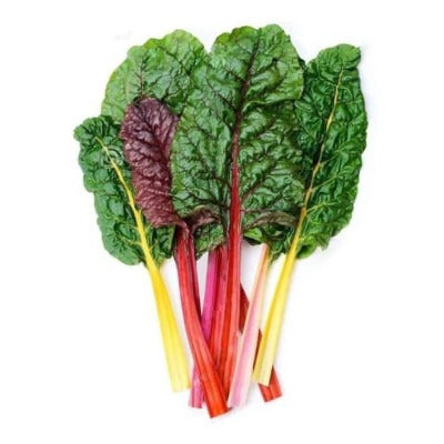 Acelga de colores