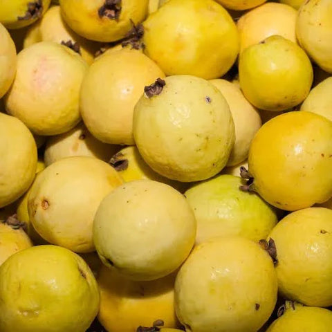Guayaba