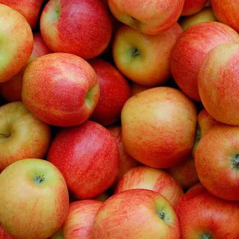 Manzana Gala