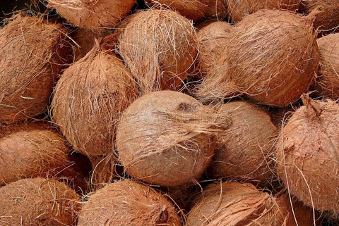 Coco