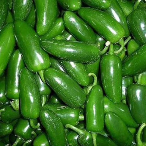 Chile jalapeño