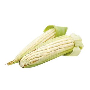Elote blanco
