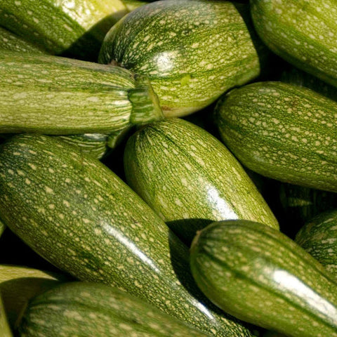 Calabaza Italiana