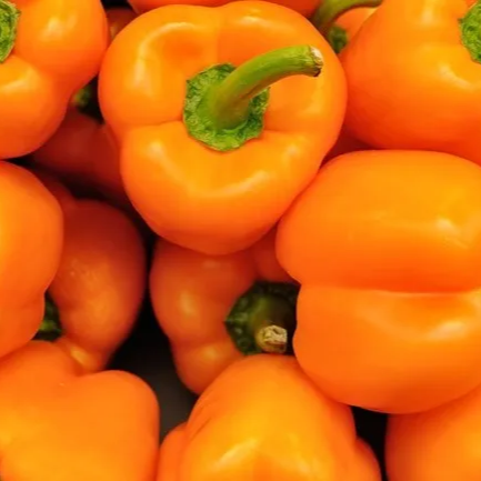 Pimiento morrón naranja