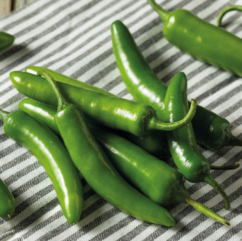 Chile serrano