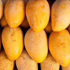 Mango Manila