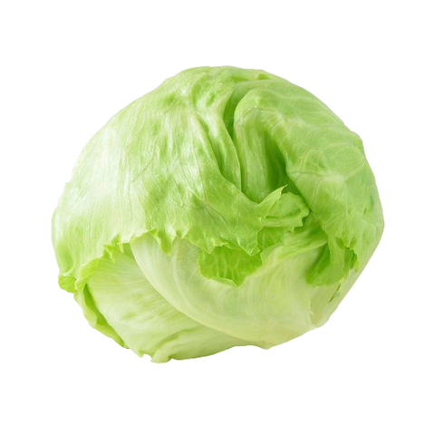 Lechuga romana