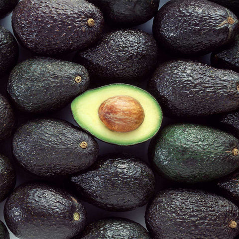 Aguacate Hass