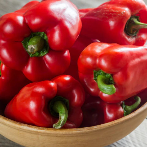 Pimiento morrón rojo