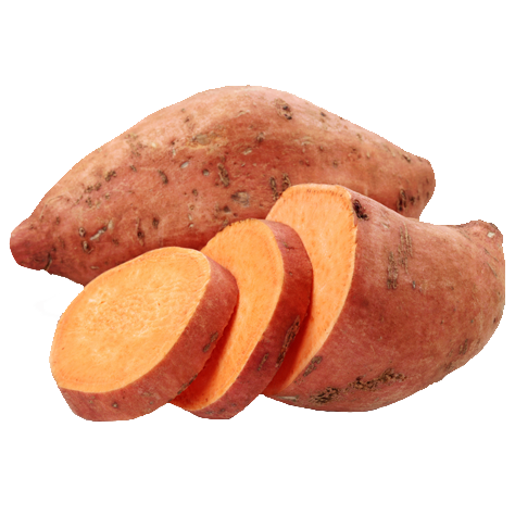 Camote