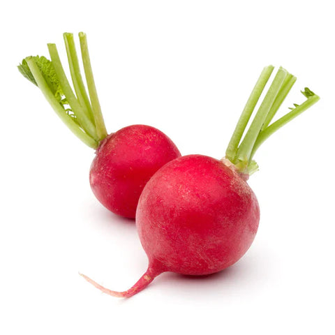 Rábano
