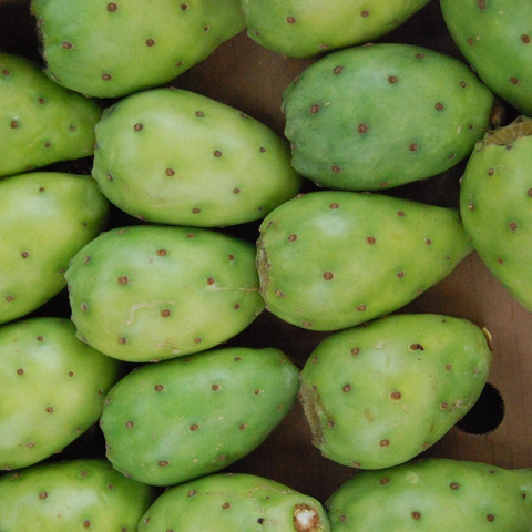 Tuna verde